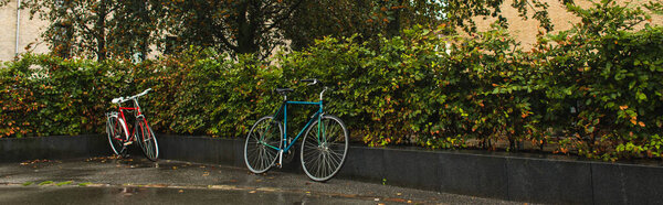 Panoramic shot of bicycles near bushes on urban street 
