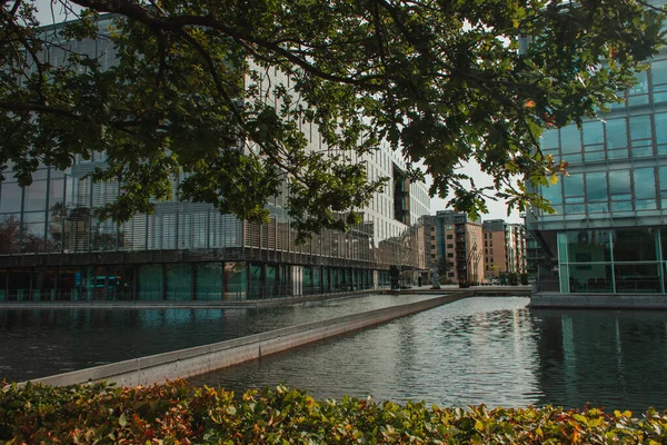 Selective Focus Tree Bushes Walkway Buildings Canal Urban Street Copenhagen — Stock Photo, Image