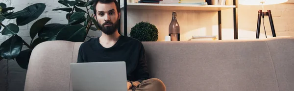 Красивий бородатий чоловік сидить на дивані, дивлячись на камеру і використовуючи ноутбук у вітальні — стокове фото