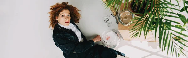 Panoramic shot of stylish redhead girl posing glasses and plants on grey — Stock Photo