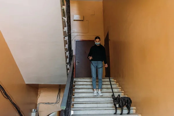 Девушка в медицинской маске держит собаку на поводке, стоя с французским бульдогом на лестнице — стоковое фото