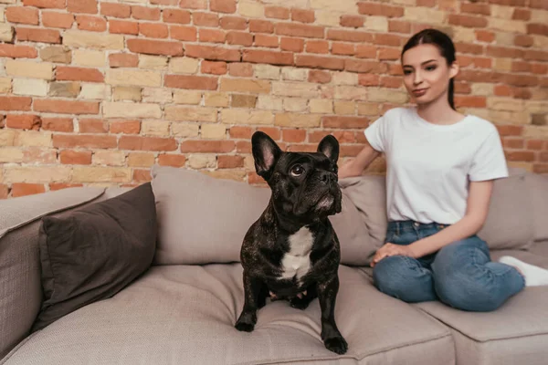 Selektiver Fokus der niedlichen französischen Bulldogge, die auf dem Sofa neben attraktiven Mädchen sitzt — Stockfoto