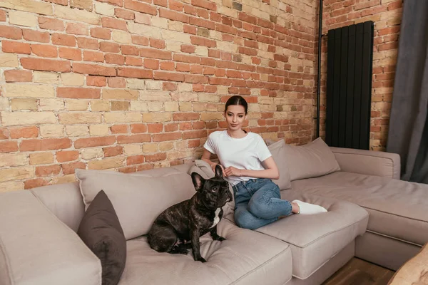 Bonito francês bulldog e atraente menina sentado no sofá na sala de estar — Fotografia de Stock