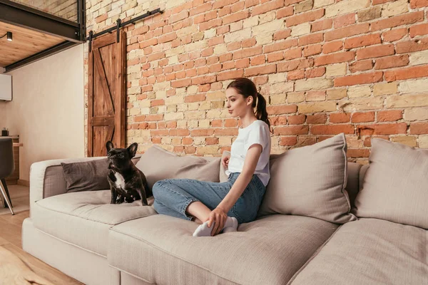 Niedliche französische Bulldogge und attraktive Frau sitzen auf Sofa im Wohnzimmer — Stockfoto