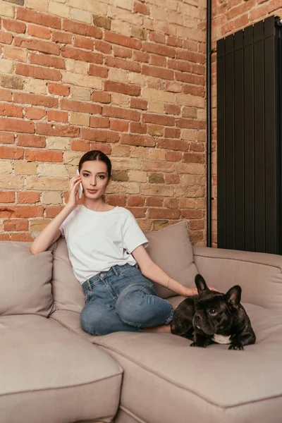 Attractive girl sitting on sofa and talking on smartphone while touching cute french bulldog — Stock Photo