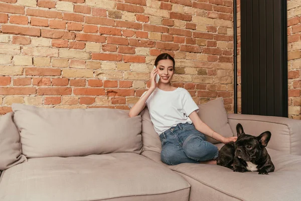 Alegre chica sentado en sofá y hablando en el teléfono inteligente mientras se toca lindo bulldog francés - foto de stock