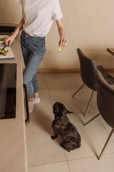 Cropped view of girl holding slice of avocado near cute french bulldog — Stock Photo