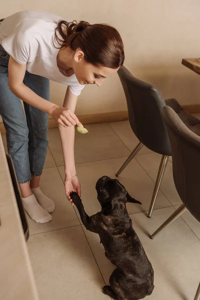 Mujer alegre sosteniendo aguacate en rodajas y tocando la pata de lindo bulldog francés en la cocina - foto de stock