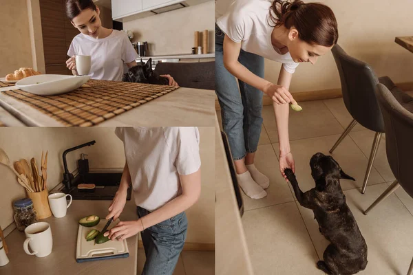 Collage of girl cutting avocado and feeding cute french bulldog in kitchen — Stock Photo