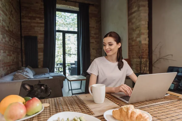 Cheerful freelancer looking at french bulldog near tasty breakfast and laptop — Stock Photo