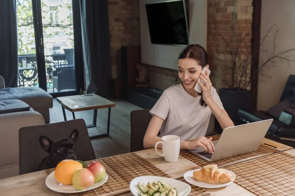 Heureux freelance parler sur smartphone et en regardant bulldog français près d'un ordinateur portable et savoureux petit déjeuner — Photo de stock