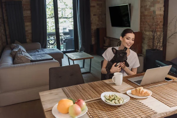 Happy freelancer holding in arms cute french bulldog and looking at laptop — Stock Photo
