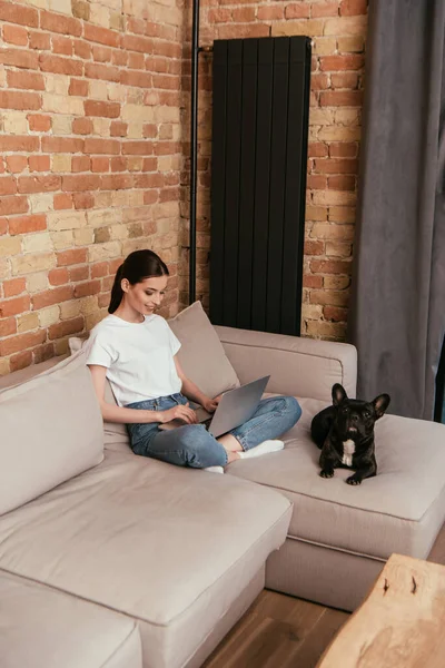 Feliz freelancer usando portátil cerca bulldog francés en sala de estar - foto de stock