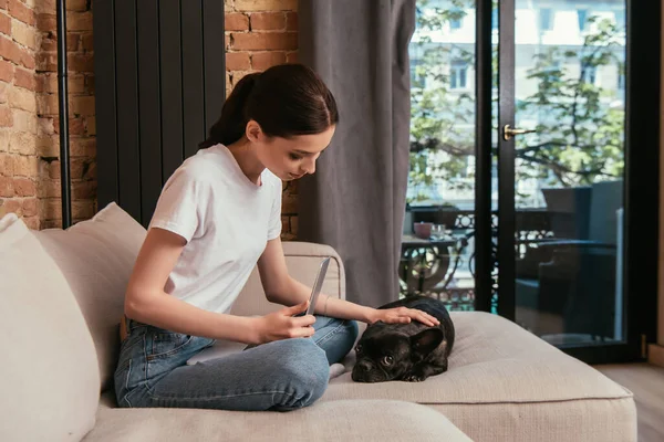 Atractivo freelancer tocando bulldog francés negro cerca del ordenador portátil en la sala de estar - foto de stock