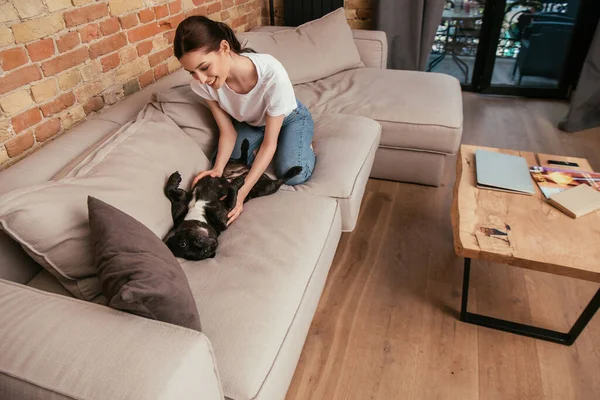 Весела дівчина грає з милим французьким бульдогом на дивані в сучасній вітальні — стокове фото