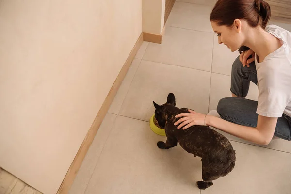 Vista aerea di ragazza felice toccando bulldog francese mangiare cibo per animali domestici — Foto stock