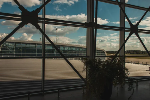 Planta cerca de ventanas en el aeropuerto y cielo nublado en el fondo, Copenhague, Dinamarca - foto de stock