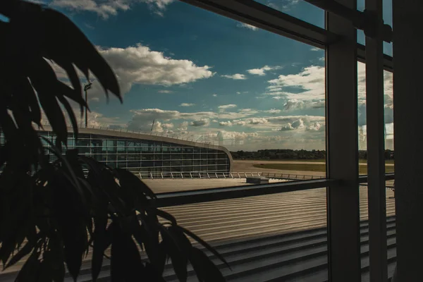 Selective focus of plant near glass of window in airport in Copenhagen, Denmark — Stock Photo