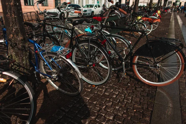 Rangée de vélos près des arbres dans la rue urbaine de Copenhague, Danemark — Photo de stock