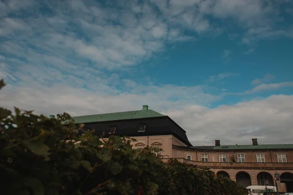 Foco seletivo de arbustos, fachada de construção e céu nublado no fundo em Copenhague, Dinamarca — Fotografia de Stock