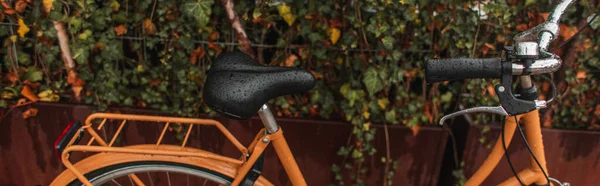 Cultivo panorámico de bicicleta mojada cerca de plantas en calle urbana - foto de stock