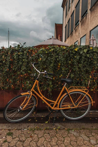 Bicicleta naranja cerca de arbustos en la calle urbana con cielo nublado al fondo - foto de stock