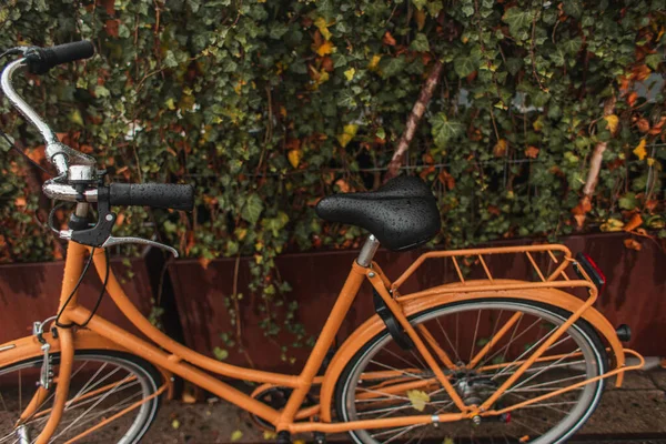 Bicicletta arancione bagnata vicino ai cespugli sulla strada urbana — Foto stock