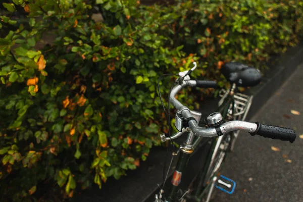 Вибірковий фокус вологого керма велосипеда біля кущів на міській вулиці — стокове фото