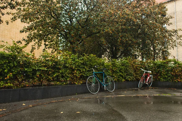 Fahrräder bei Regen nahe grünem Gebüsch auf Stadtstraße — Stockfoto