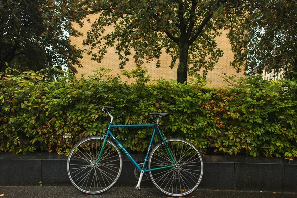 Bicicleta azul perto de arbustos verdes e árvores na rua urbana — Fotografia de Stock