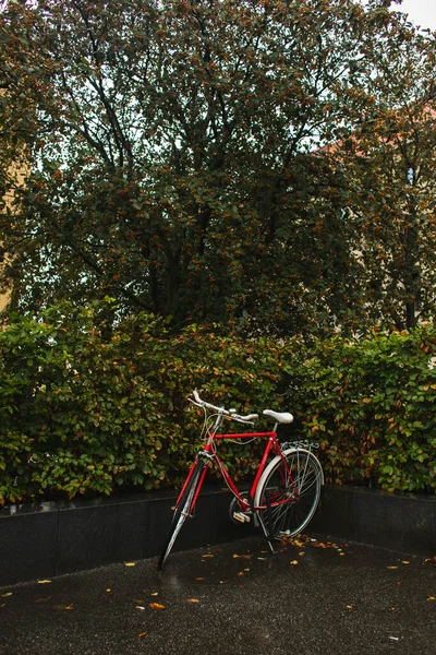 Rotes Fahrrad in der Nähe grüner Büsche und Bäume auf der Stadtstraße — Stockfoto