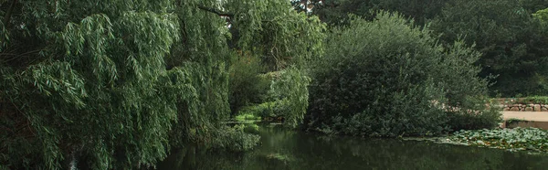 Panoramic crop of green trees near pound in botanical garden, Copenhagen, Denmark — Stock Photo