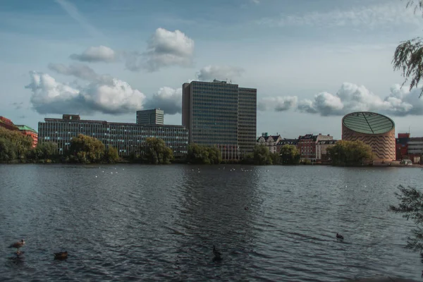 Concentration sélective des canards sur la rivière avec bâtiments et ciel nuageux en arrière-plan, Copenhague, Danemark — Photo de stock