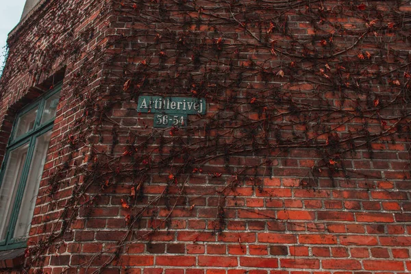 Schild mit Namen der Straße und Pflanze auf Ziegelfassade des Gebäudes, Kopenhagen, Dänemark — Stockfoto