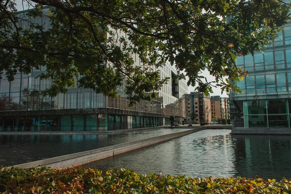 Selective focus of tree and bushes on walkway with buildings and canal on urban street, Copenhagen, Denmark — Stock Photo