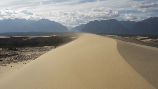 Eşsiz Desert Sands Chara. Sibirya tundrası resimli manzara. — Stok video