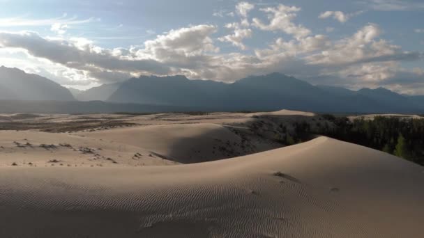 Unikalny Chara Pustynnych Piasków. Syberia tundra malowniczy krajobraz. — Wideo stockowe