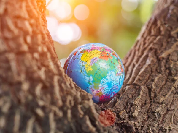 The globe on the tree bokeh and background. Save environment, Save the earth concept.