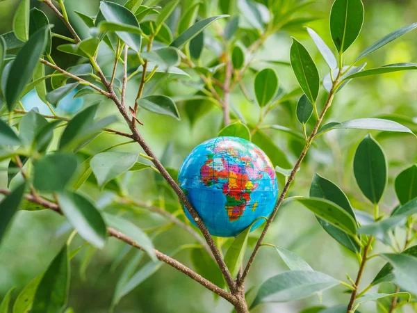 The globe on the tree bokeh and background. Save environment, Save the earth concept.