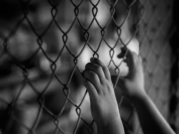 Mão Menina Segurando Cerca Elo Cadeia Para Liberdade Dia Dos — Fotografia de Stock