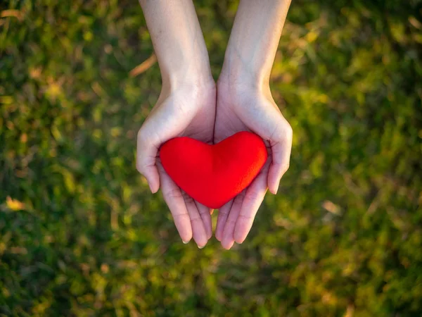 Vista Superior Joven Mano Mujer Sosteniendo Corazón Rojo Feliz Amor — Foto de Stock