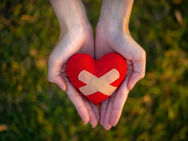 Vista Superior Joven Mano Mujer Sosteniendo Corazón Rojo Feliz Amor — Foto de Stock