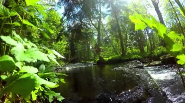Küçük nehir ile güzel bir timelapse