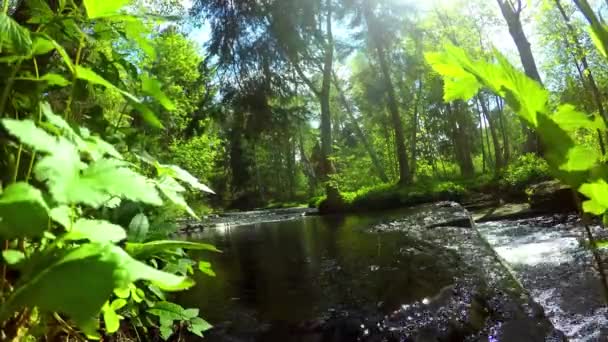Une belle timelapse avec petite rivière 