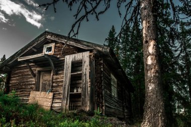 old abandoned house in the wood