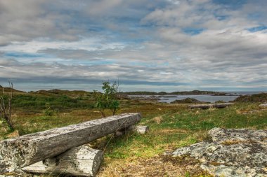 Deniz kıyısının güzel manzarası