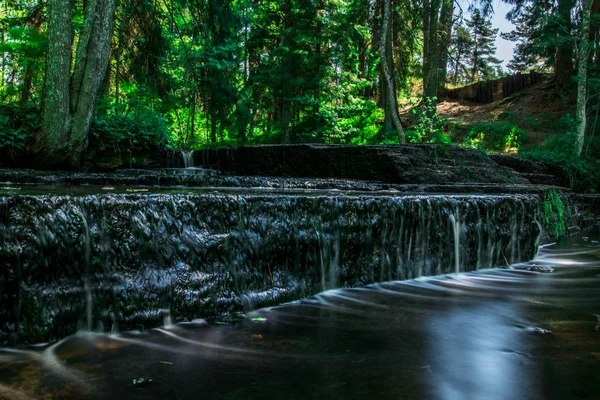 森の中の美しい滝 — ストック写真