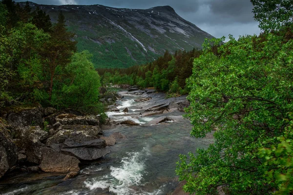 Belle Vue Sur Rivière Dans Les Montagnes — Photo