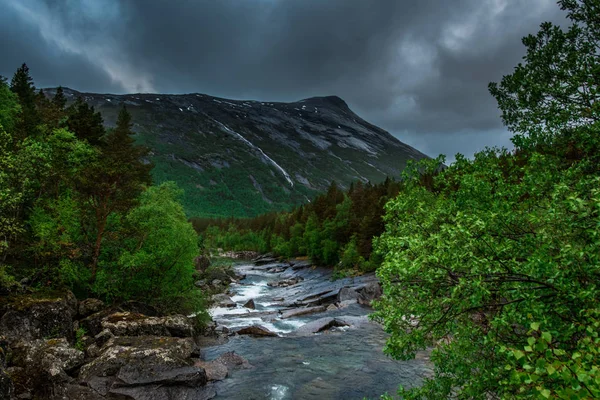 Prachtig Landschap Met Rivier Bos — Stockfoto