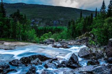 beautiful landscape with river and waterfall in the forest